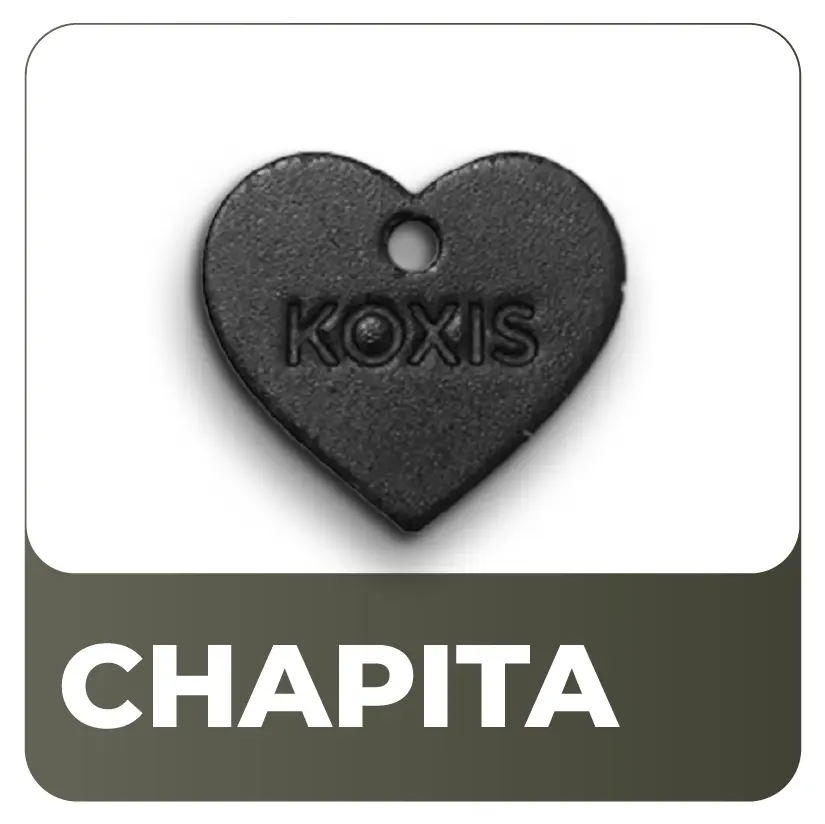 Chapitas B1.webp