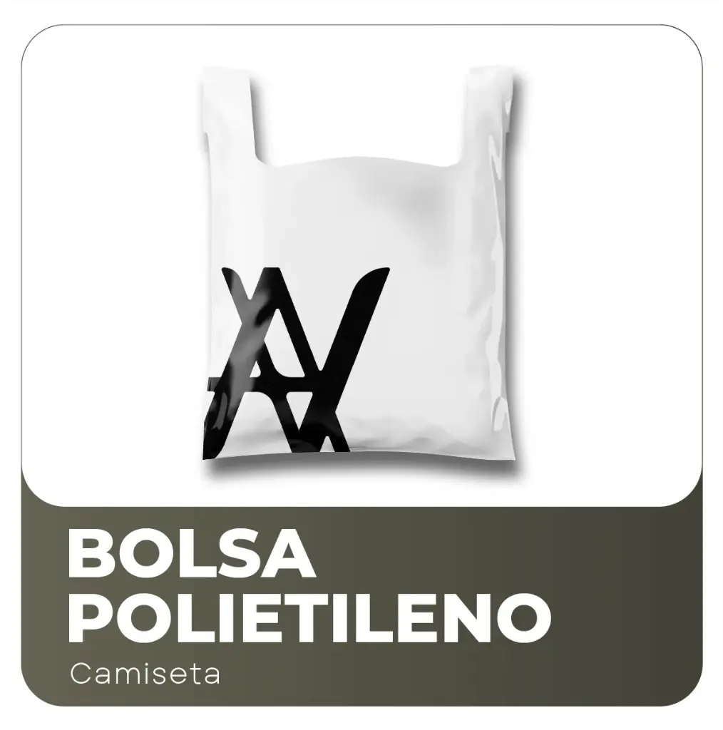 Camiseta B1 (1).webp