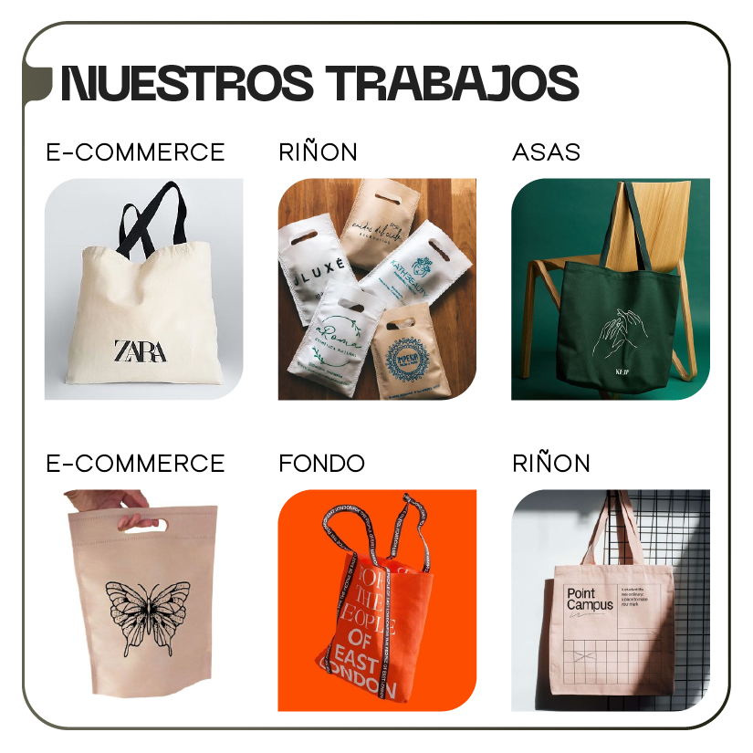 Friselina Riñon B3.png