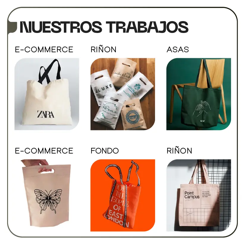 Friselina Riñon B3.webp